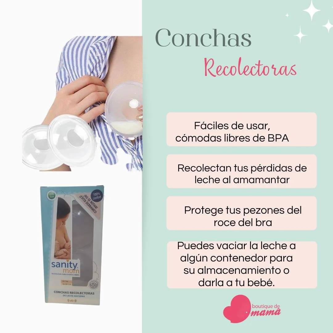 Conchas Recolectoras de LM